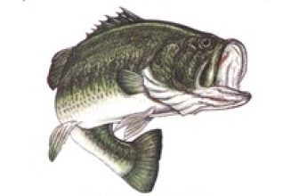 Bass Electric Inc