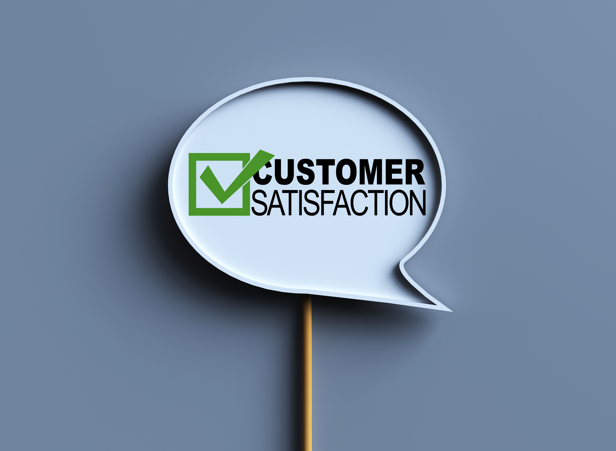 Customer Satisfaction