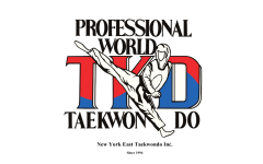 Professional Martial arts Taekwondo Center