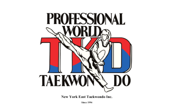 Professional Martial arts Taekwondo Center