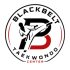 Professional Martial arts Taekwondo Center