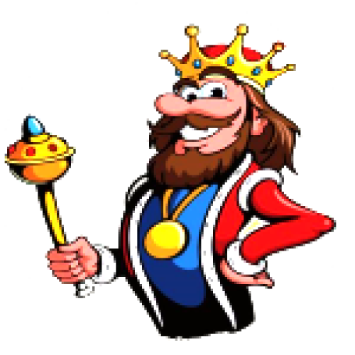 The Roofing King USA